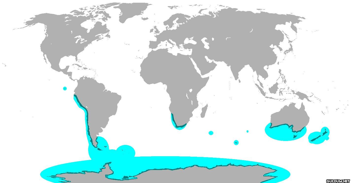 Global Distribution of Penguins