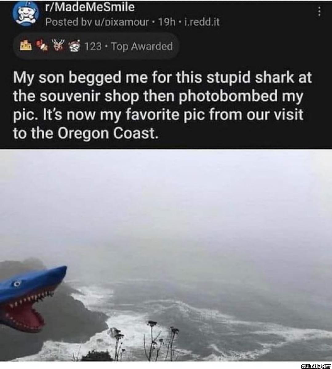 That’s so cool🤣   ...