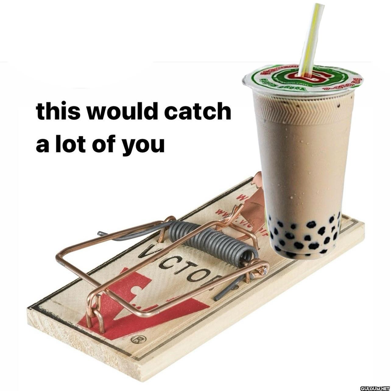 ︎ ︎ ︎ ︎ ︎ ︎    this would...