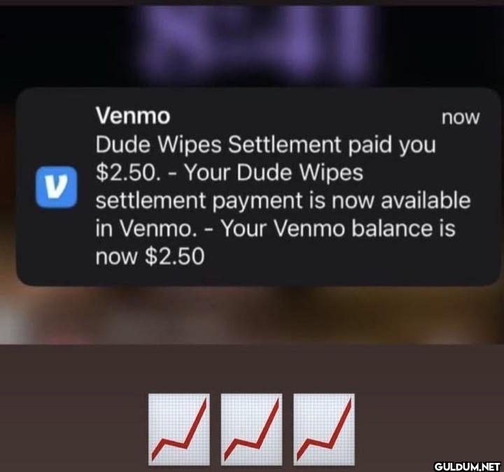 V Venmo Dude Wipes...