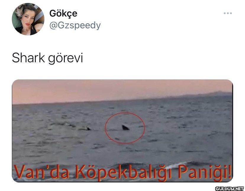 Shark görevi Van'da...