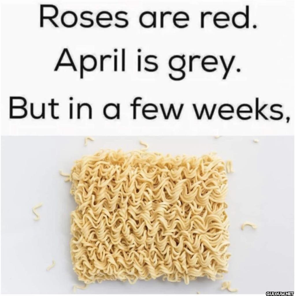Roses are red. April is...
