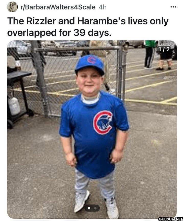 r/BarbaraWalters4Scale 4h...