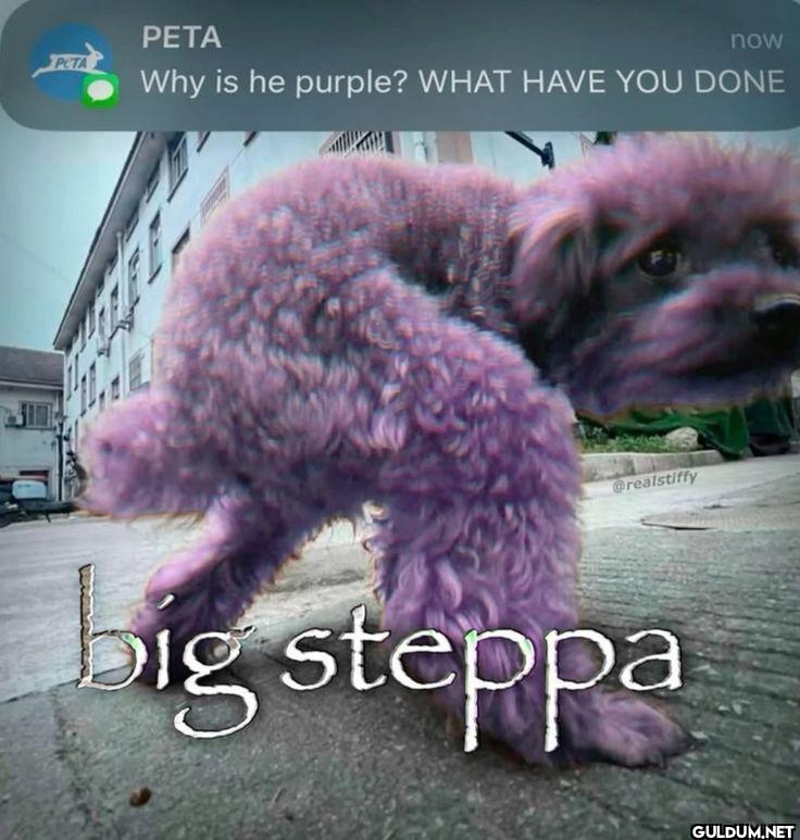 PETA now Why is he purple?...