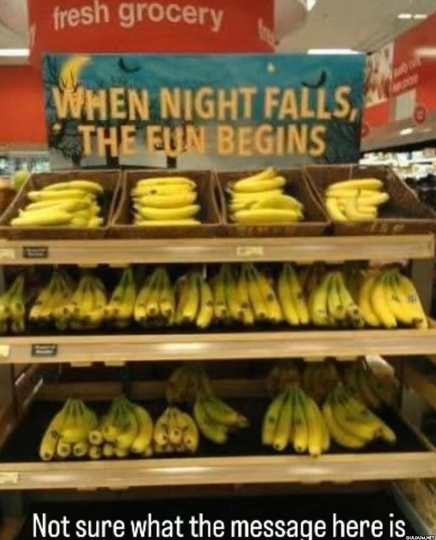 fresh grocery WHEN NIGHT...