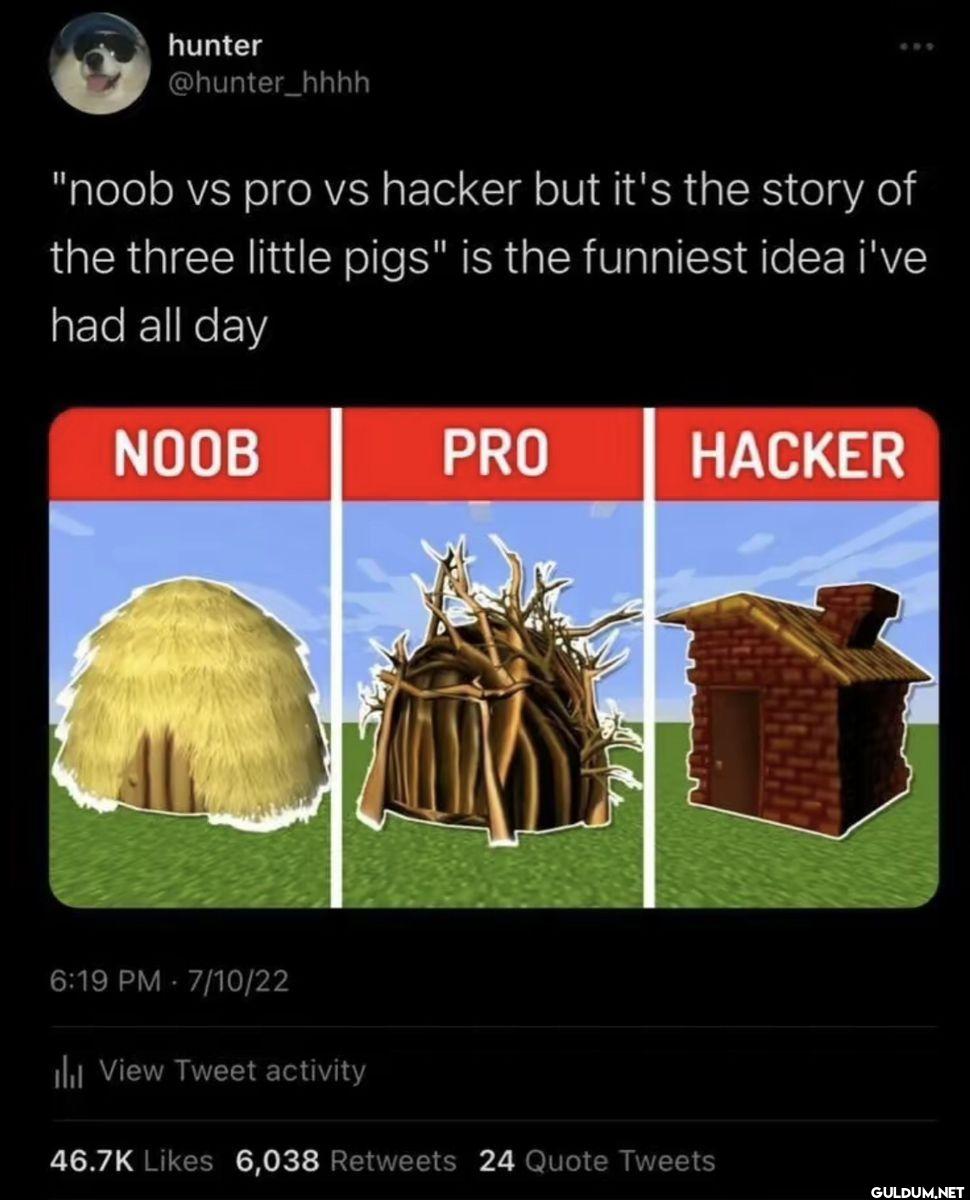 noob vs pro vs hacker but...