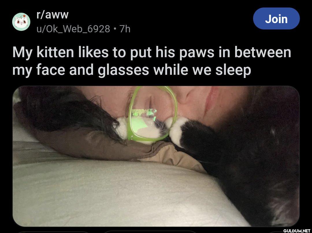 r/aww u/Ok_Web_6928 • 7h...