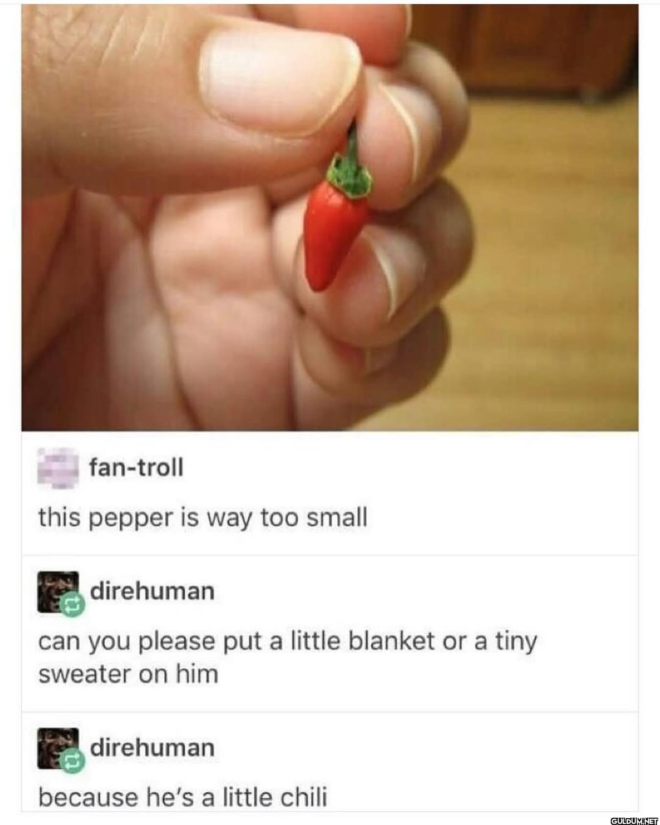 fan-troll this pepper is...