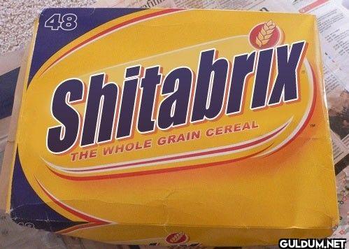 ︎ ︎ ︎ ︎    48 Shitabrix...