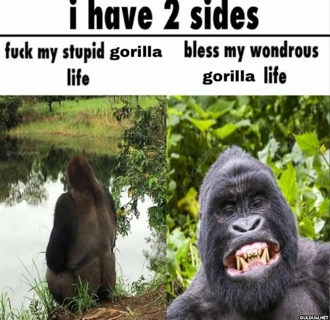i have 2 sides fuck my...