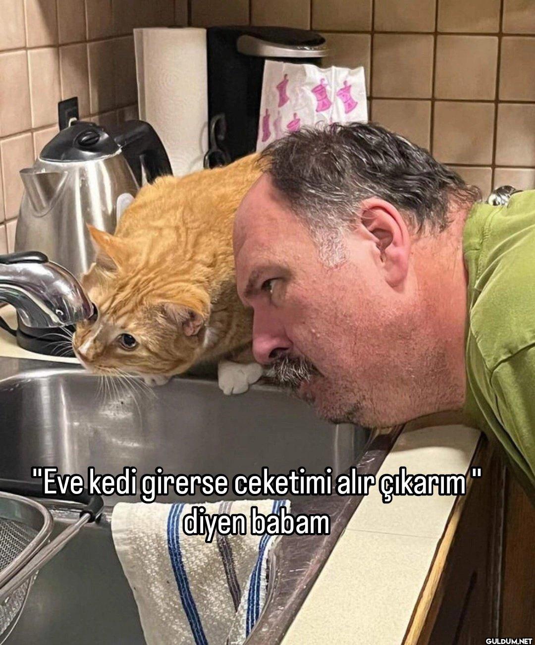 "Eve kedi girerse ceketimi...
