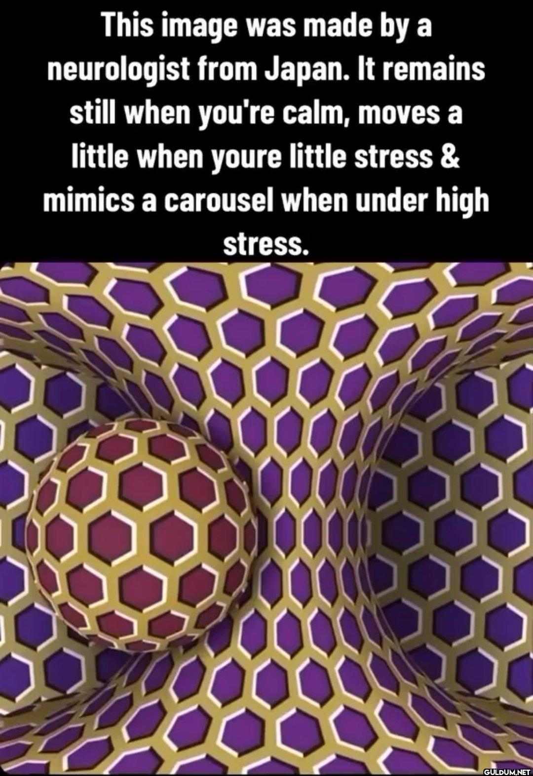 Me trying to make myself...
