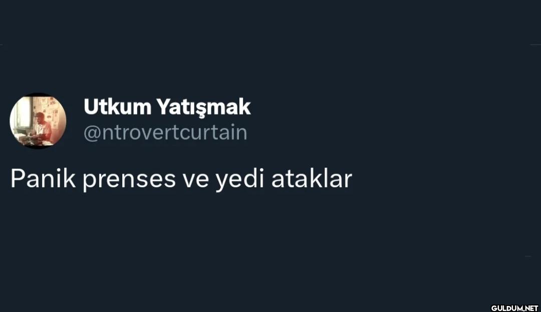 Panik prenses ve yedi ataklar