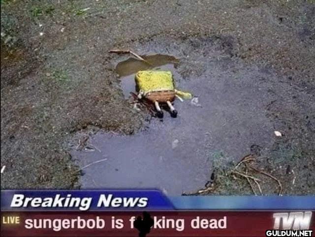 Breaking News LIVE...