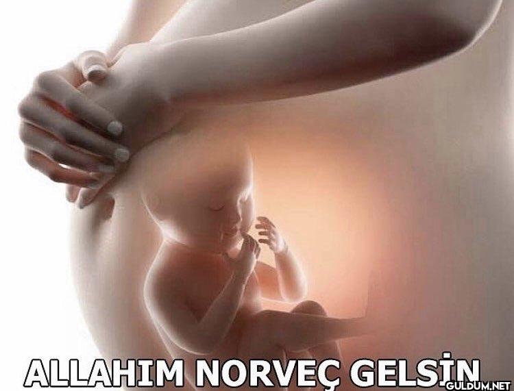 ALLAHIM NORVEÇ GELSİN