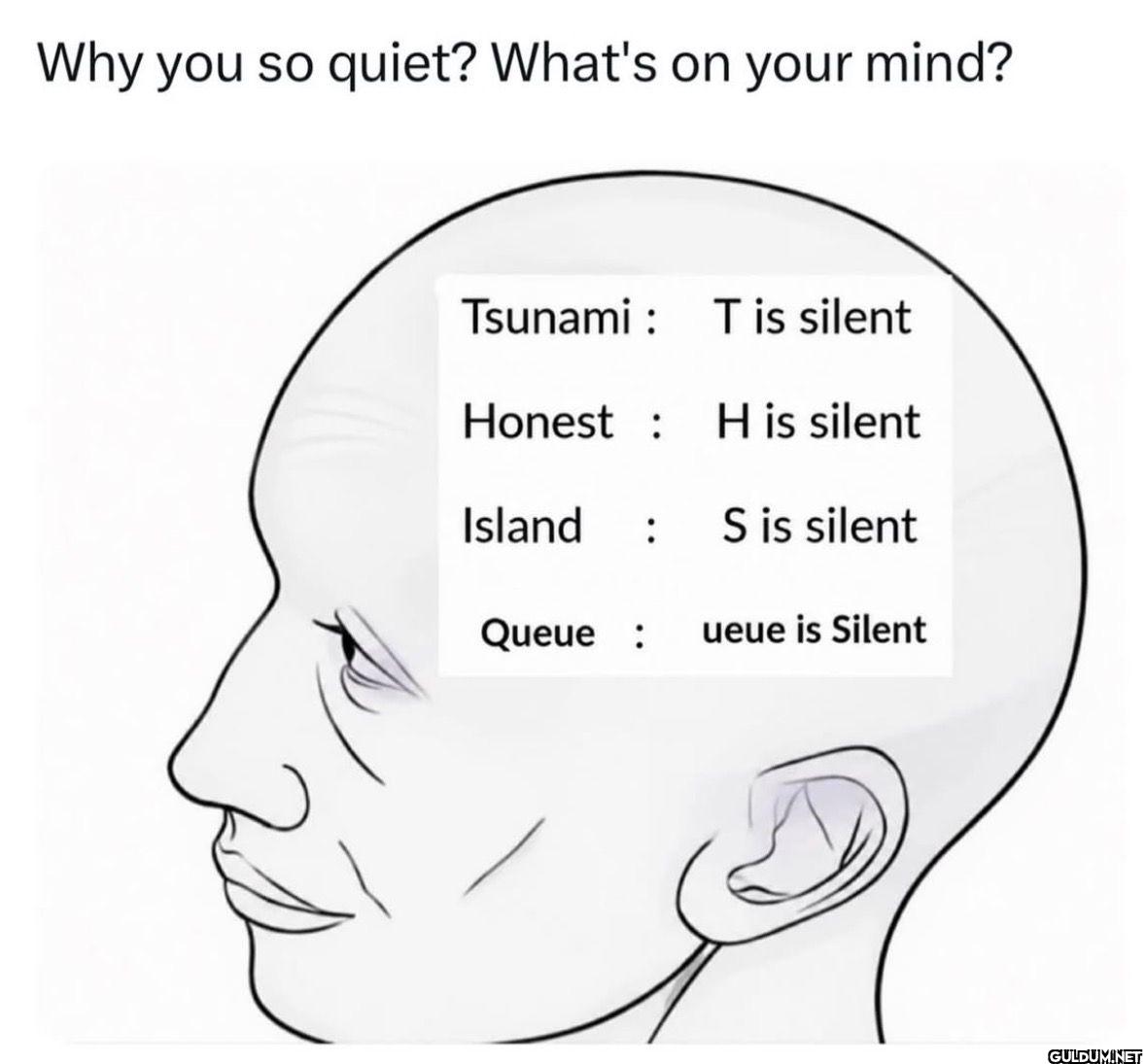 Why you so quiet? What's...