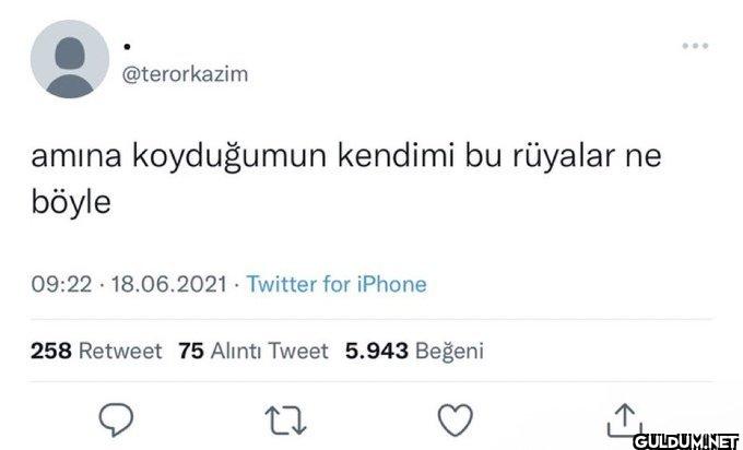 amına koyduğumun kendimi...
