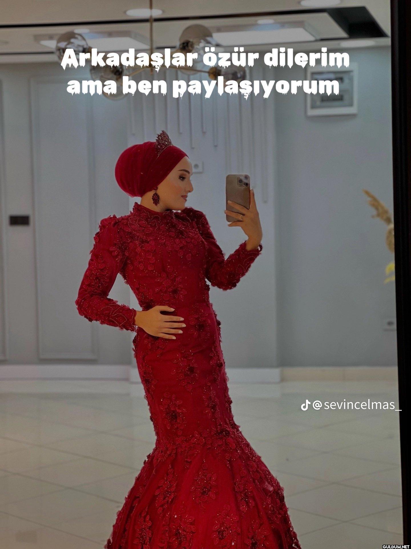 Arkadaşlar özür dilerim...