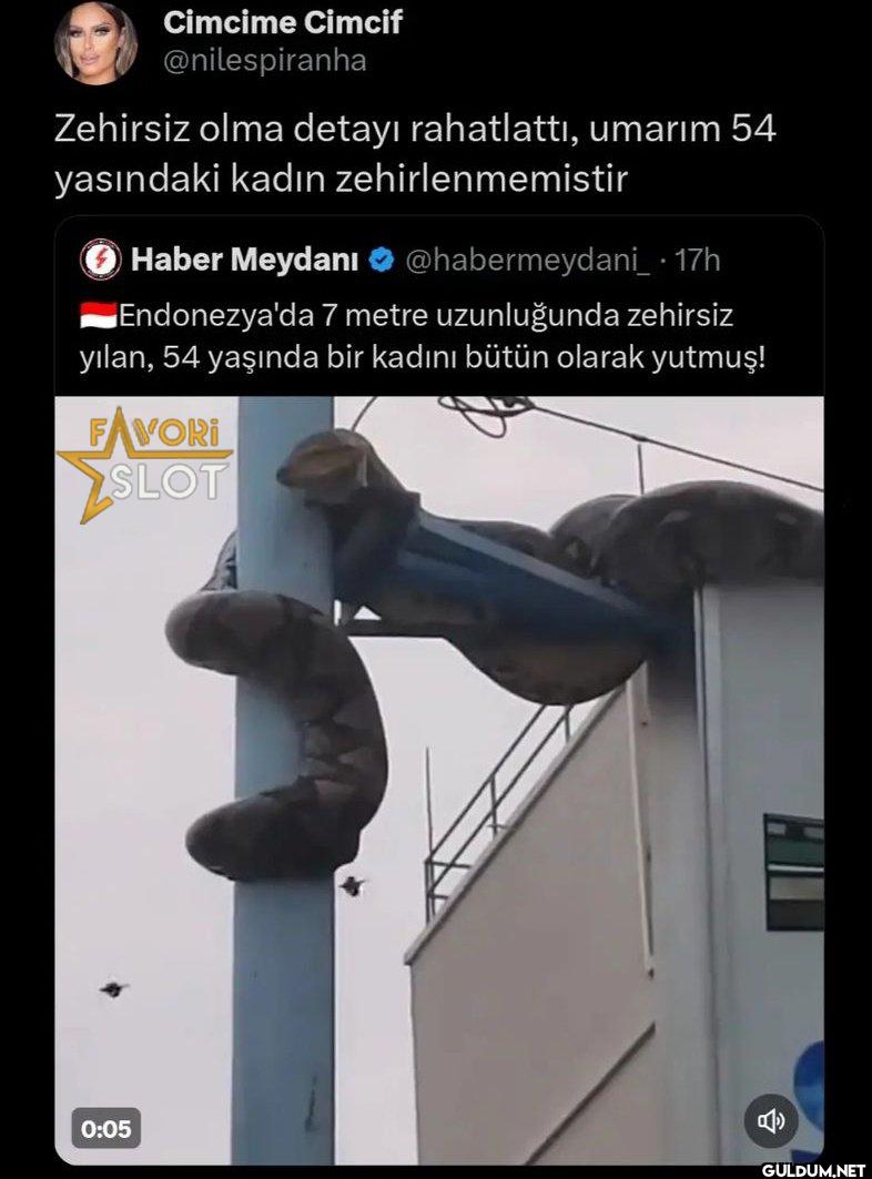 Zehirsiz olma detayı...