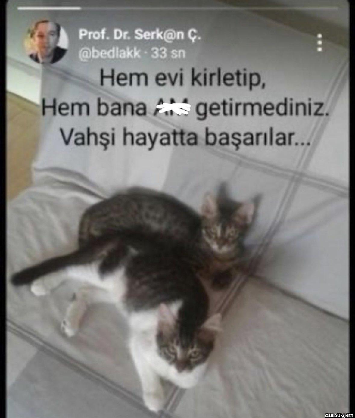 Ç. @bedlakk - 33 sn Hem...