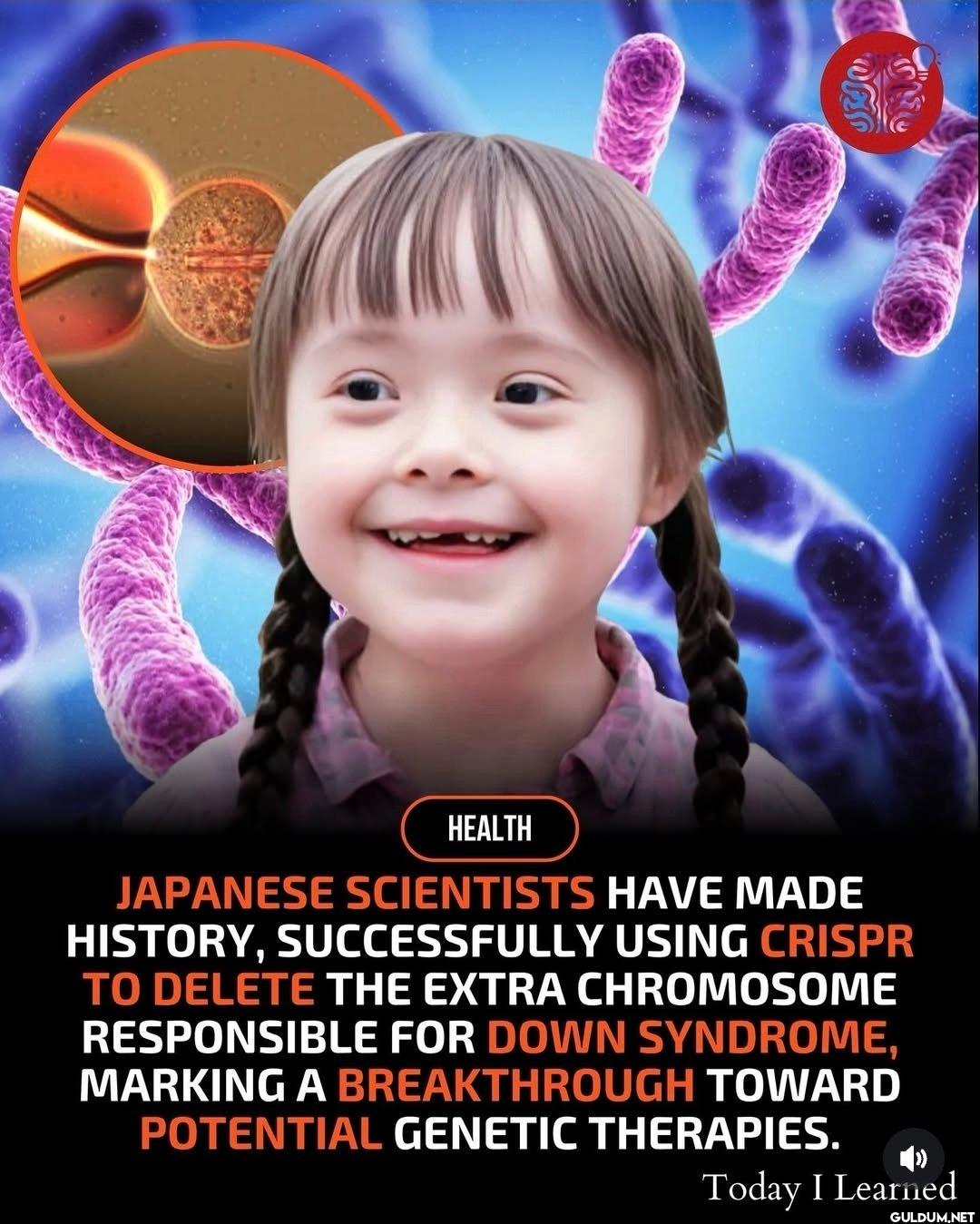 Scientists just removed...