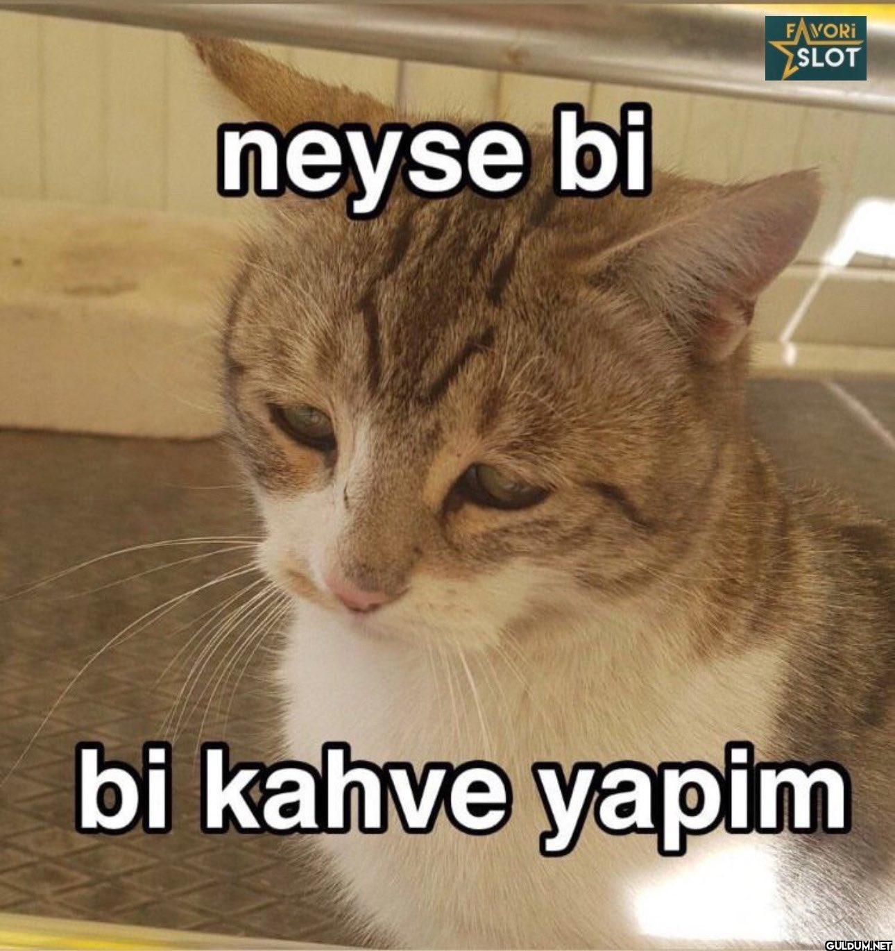 neyse bi FAVORI SLOT bi kahve yapim