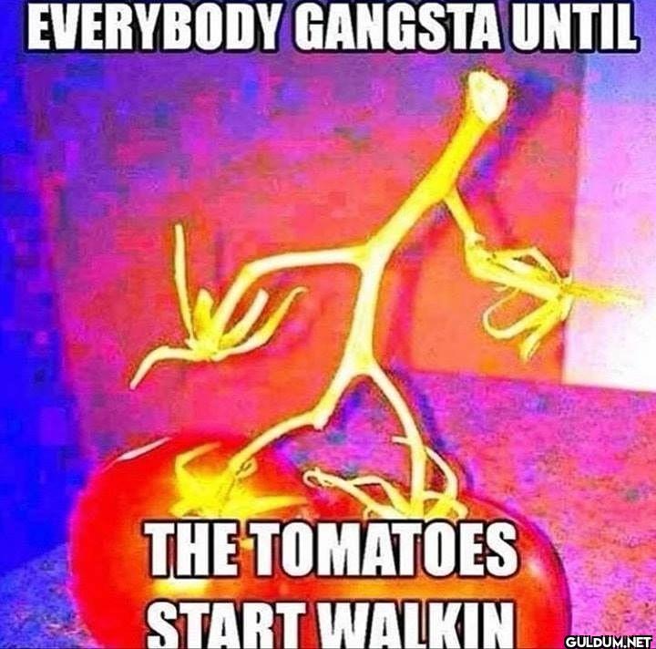 ︎ ︎ ︎ ︎ ︎ ︎ ︎ ︎ ︎ ︎ ︎ ︎ ︎...