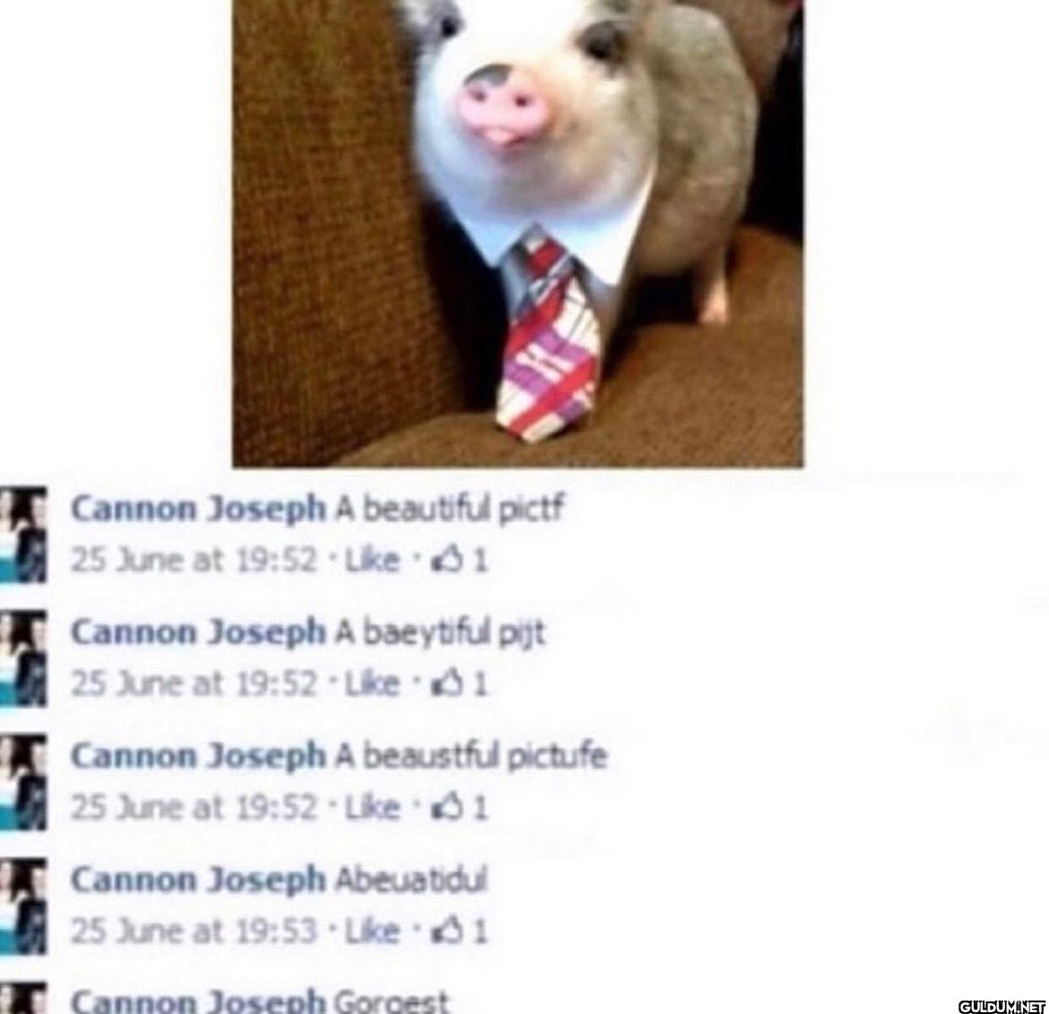 Cannon Joseph A beautiful...