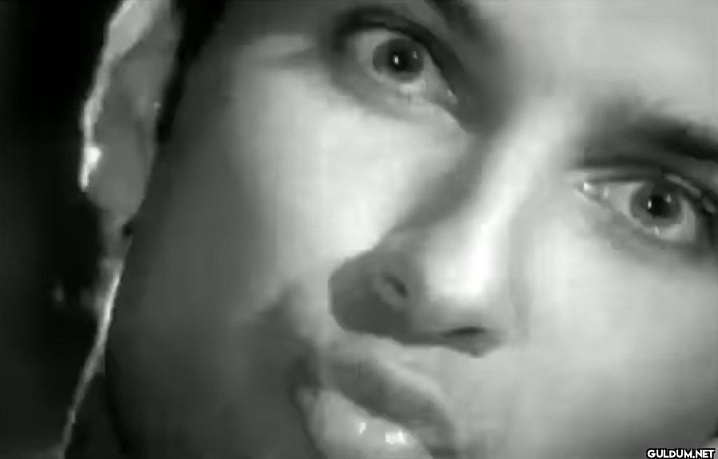Tarkan bu mimiğini kimden...