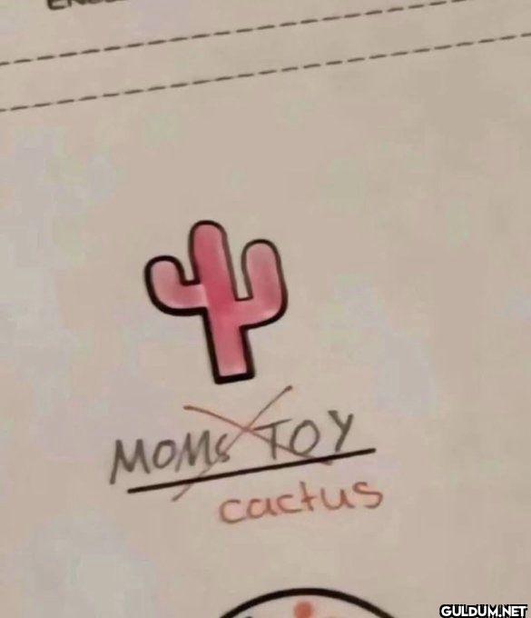 MOMXTOY cactus