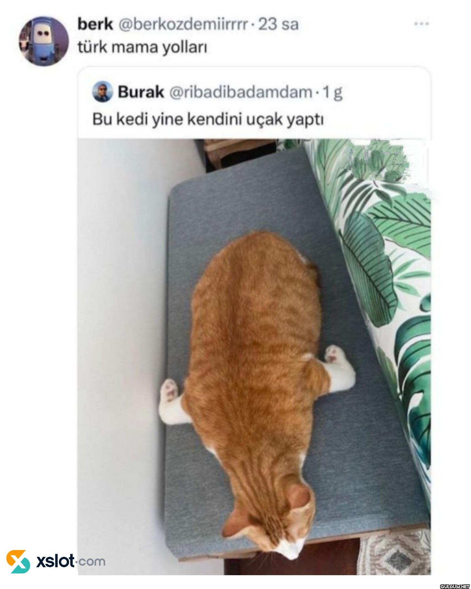 23 sa türk mama yolları...