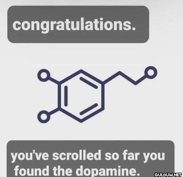 congratulations. you've...
