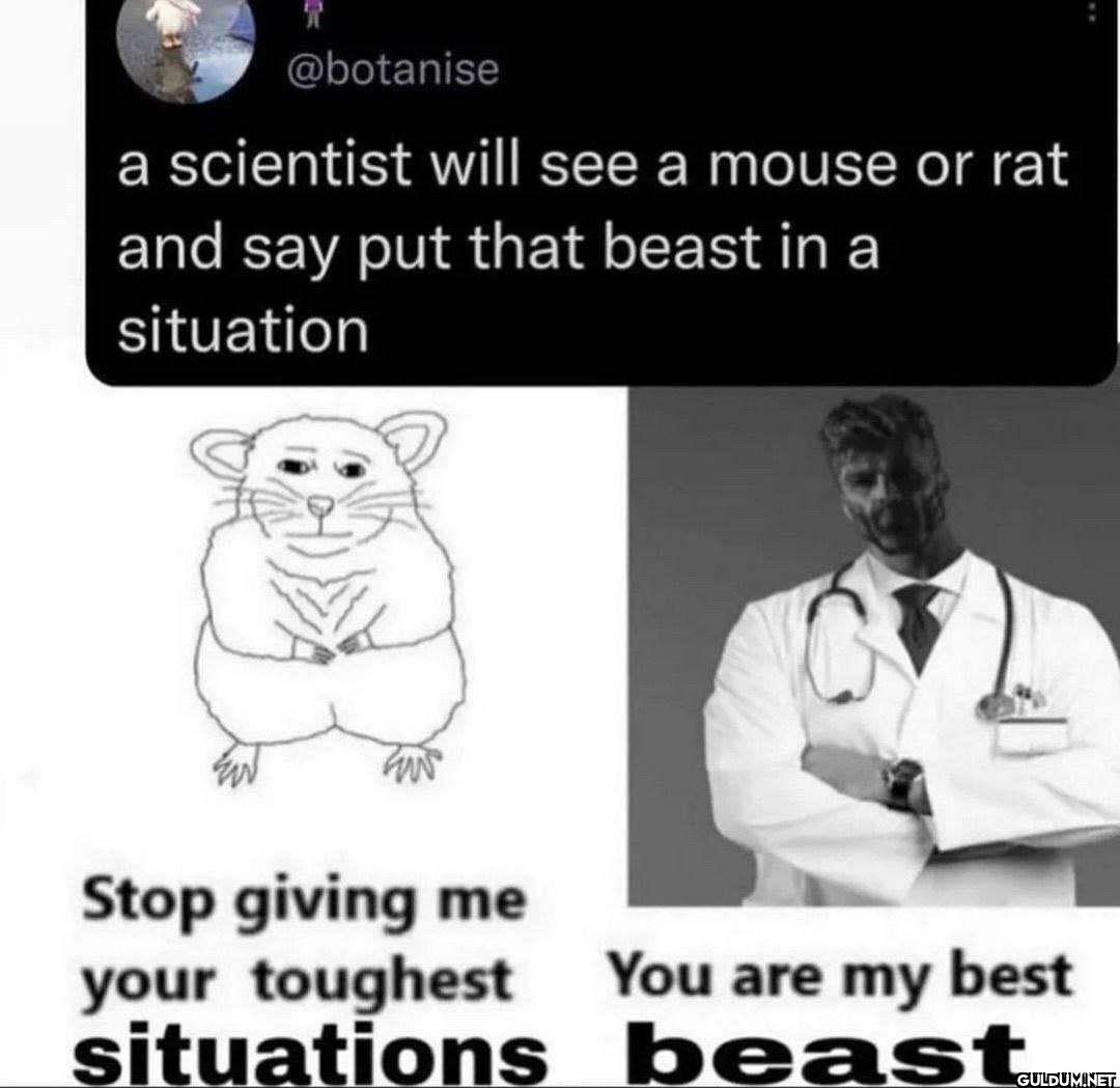 a scientist will see a...