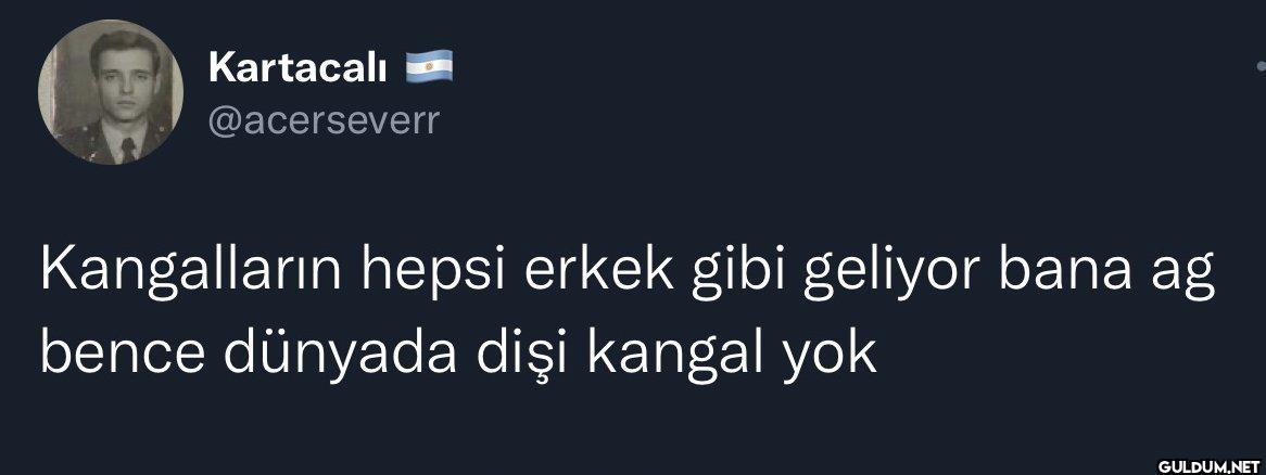 Kangalların hepsi erkek...