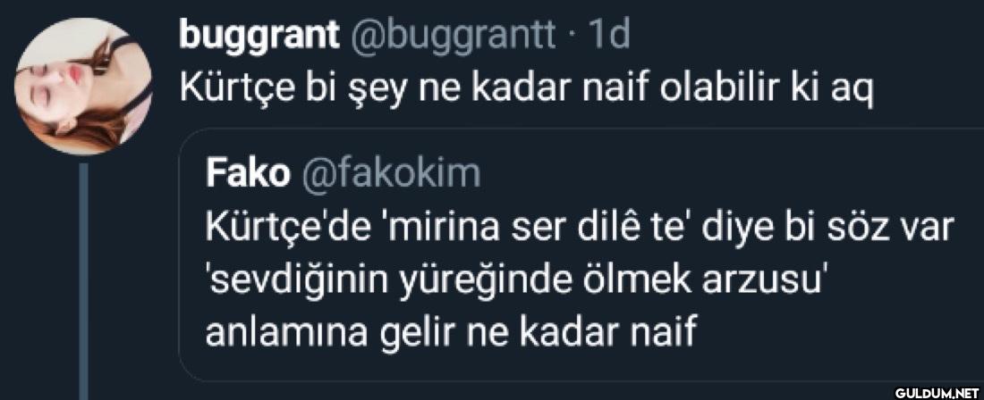1d Kürtçe bi şey ne kadar...