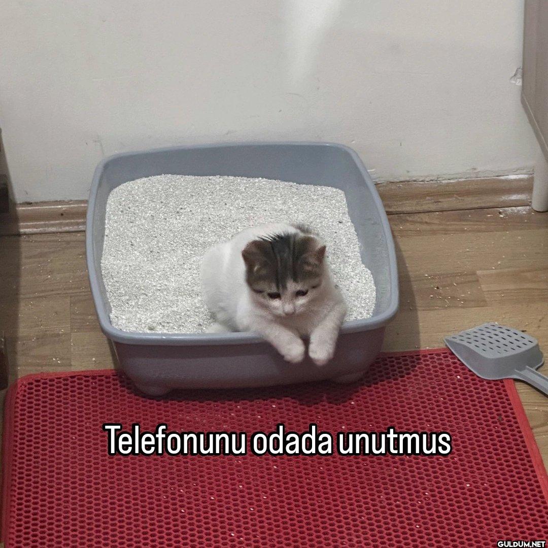 Telefonunu odada unutmus