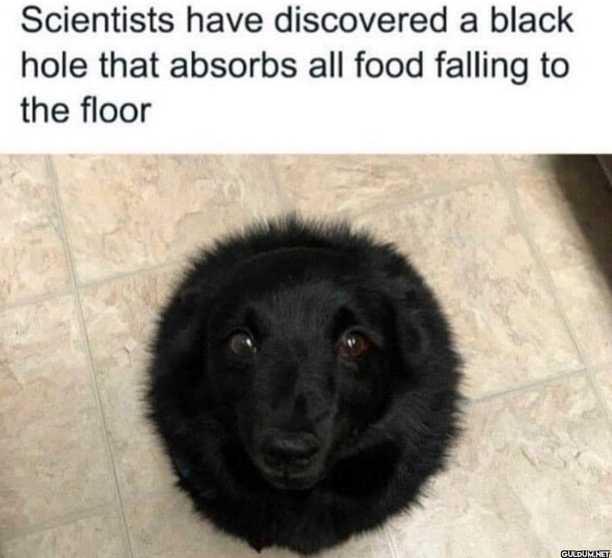 Be careful    Scientists...