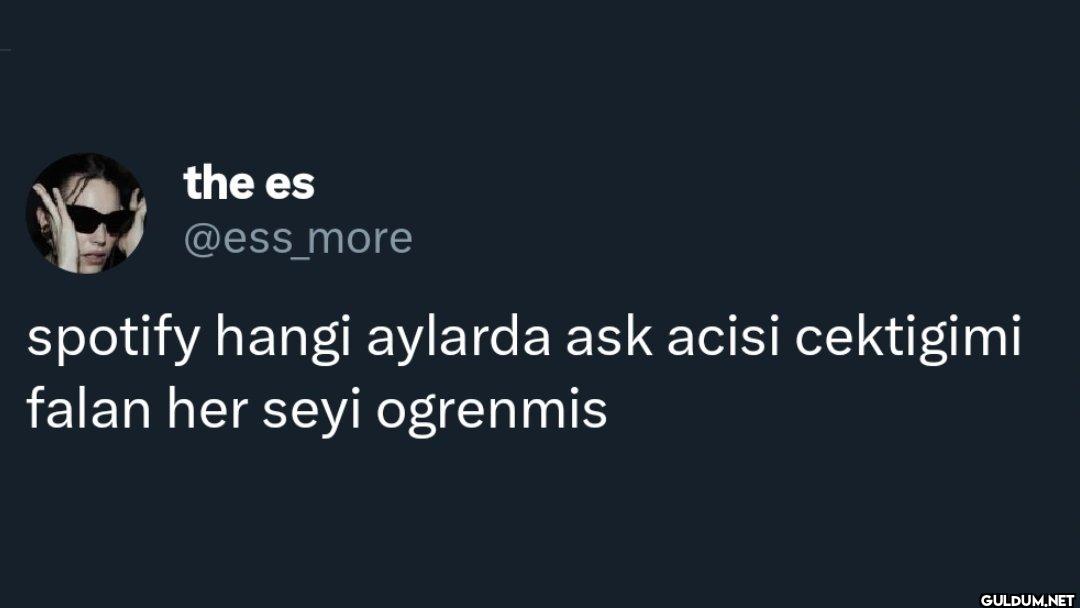 spotify hangi aylarda ask...