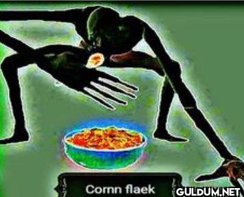 Corn flaek