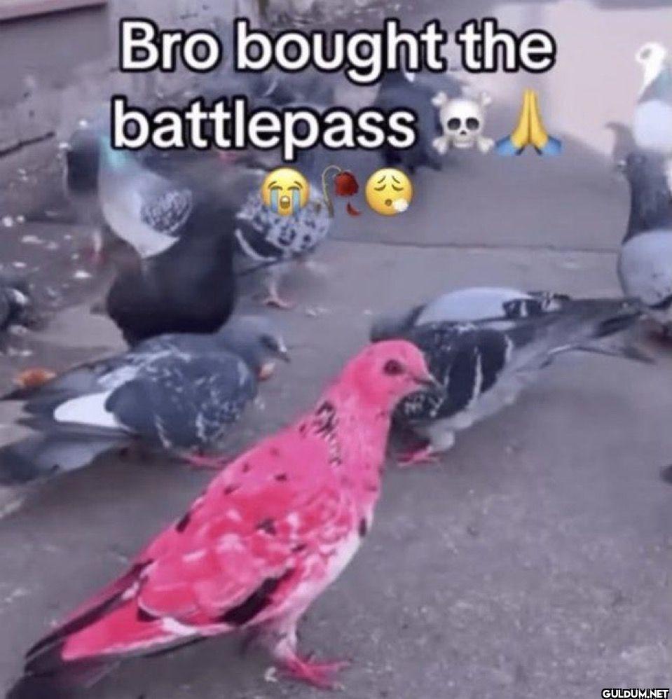 Bro bought the battlepass