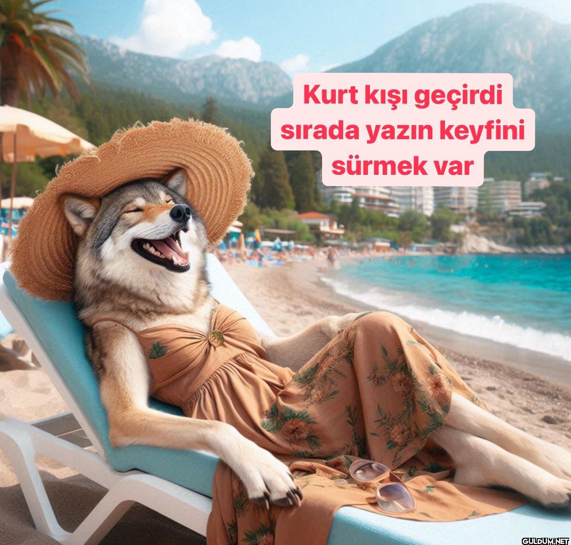Kurt kışı geçirdi sırada...
