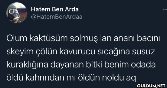 BenArdaa Olum kaktüsüm...