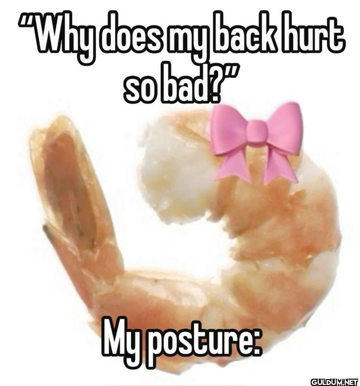 Why does my back hurt so...