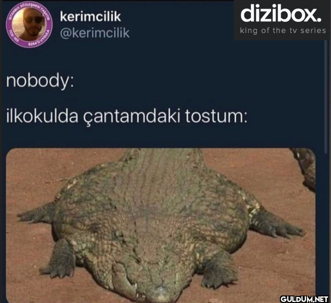 nobody: dizibox. king of...