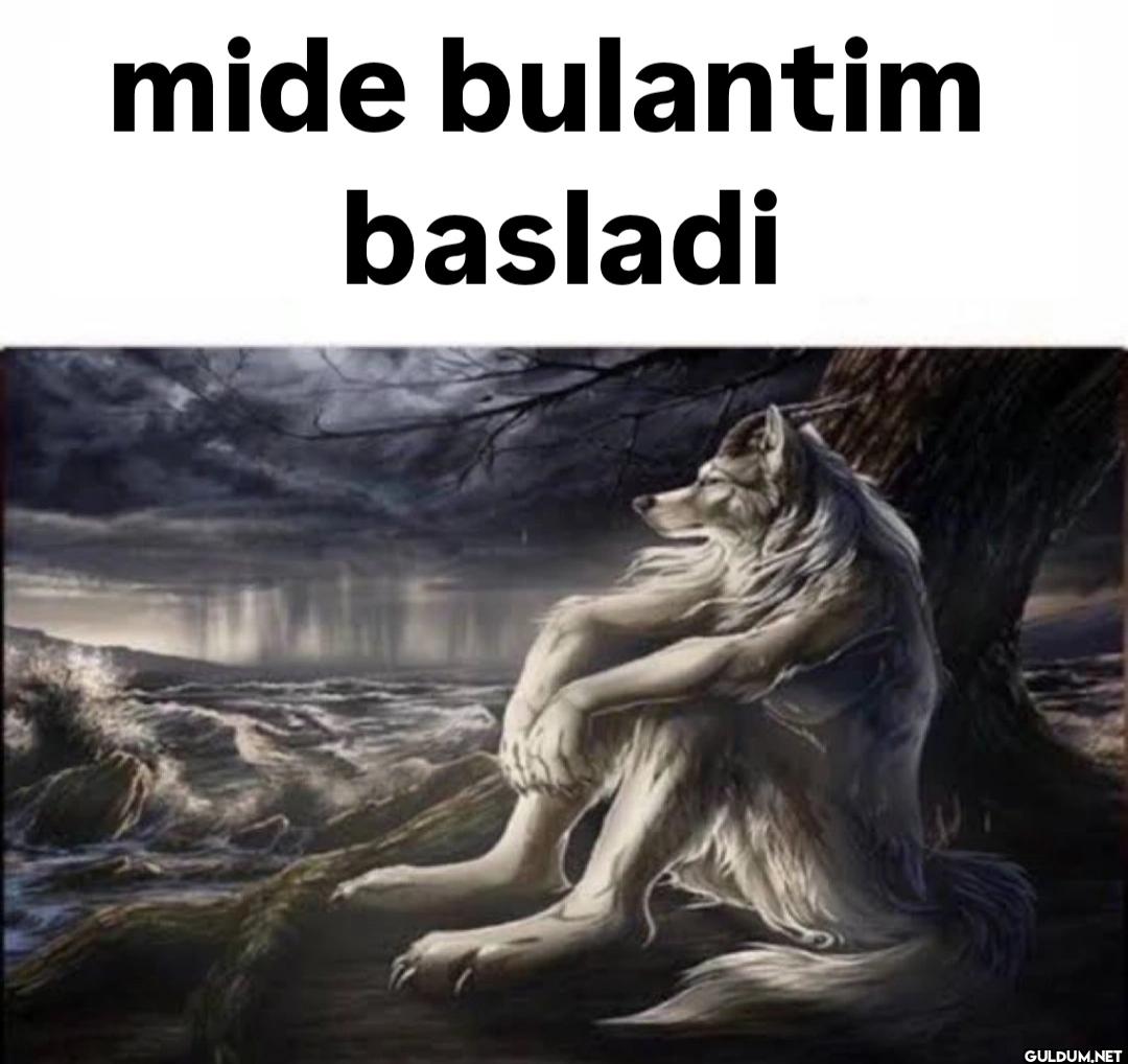 mide bulantim basladi