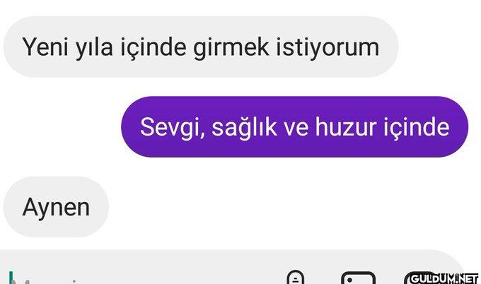 Yeni yıla içinde girmek...