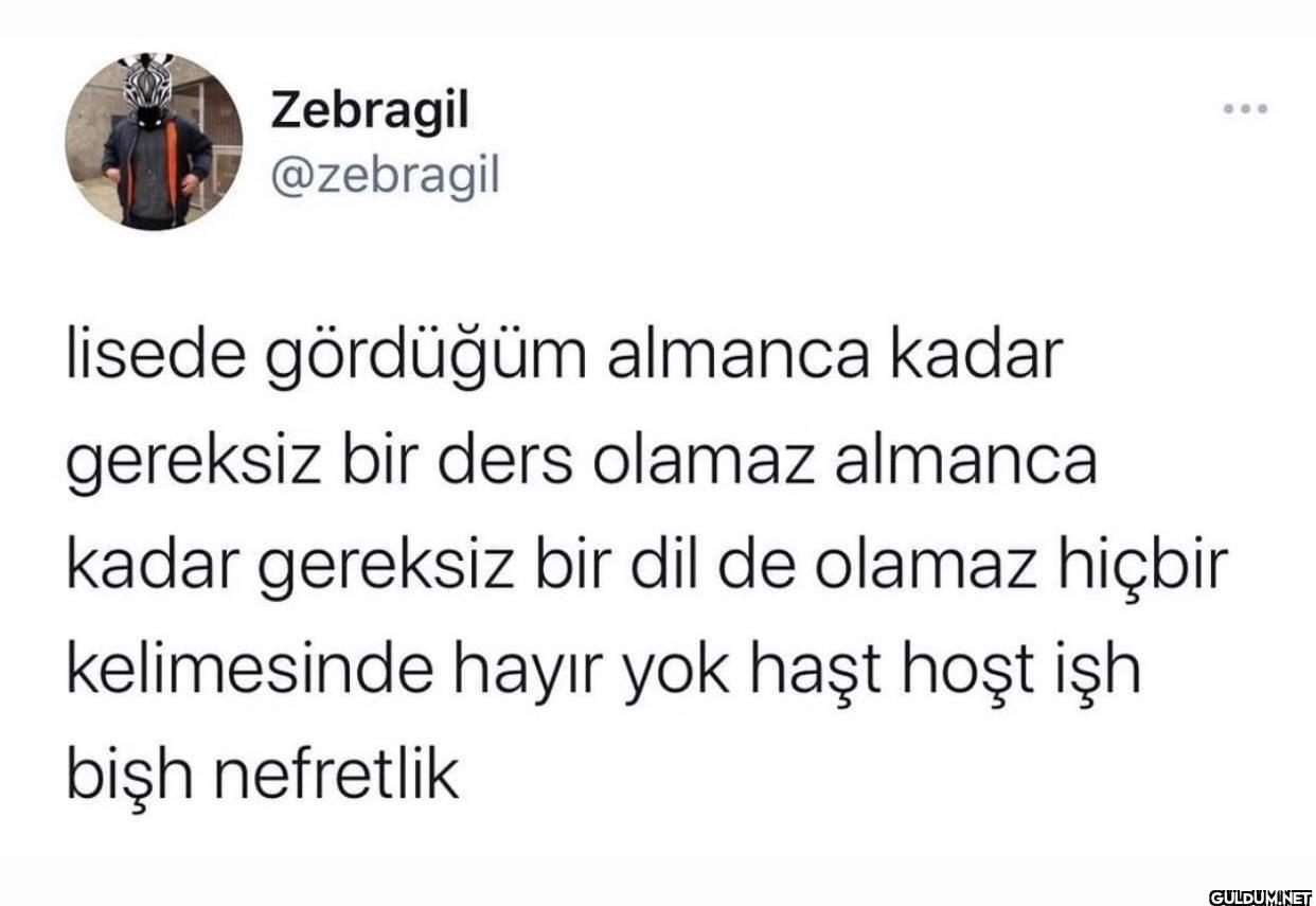 lisede gördüğüm almanca...