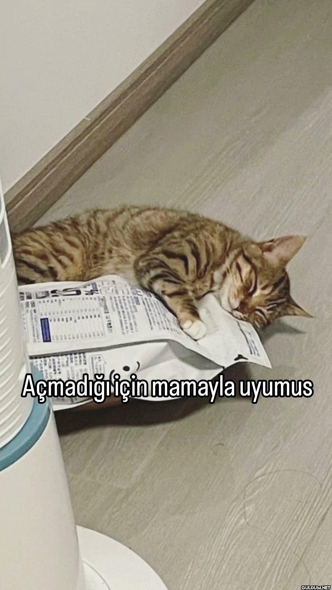 DISS Açmadığı için mamayla uyumus