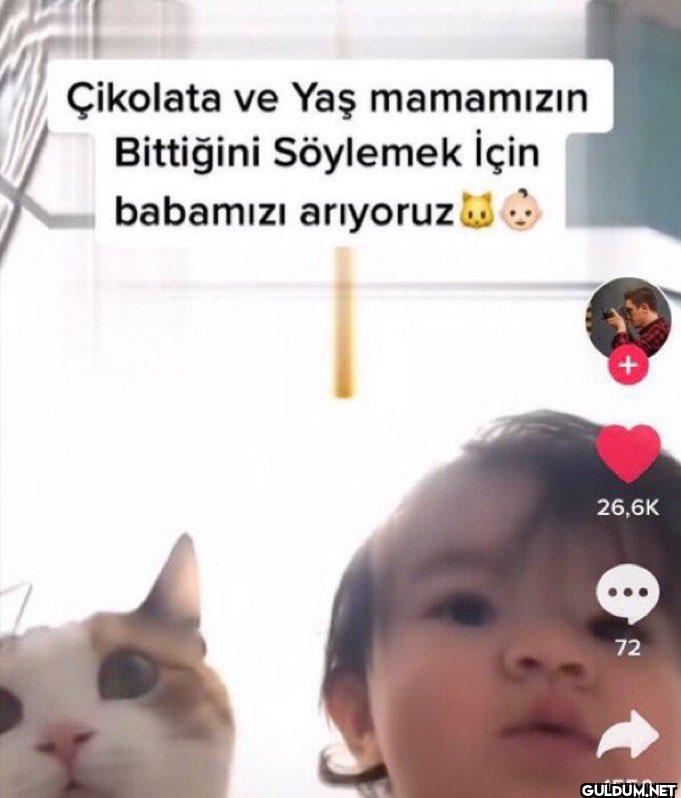 Çikolata ve Yaş mamamızın...