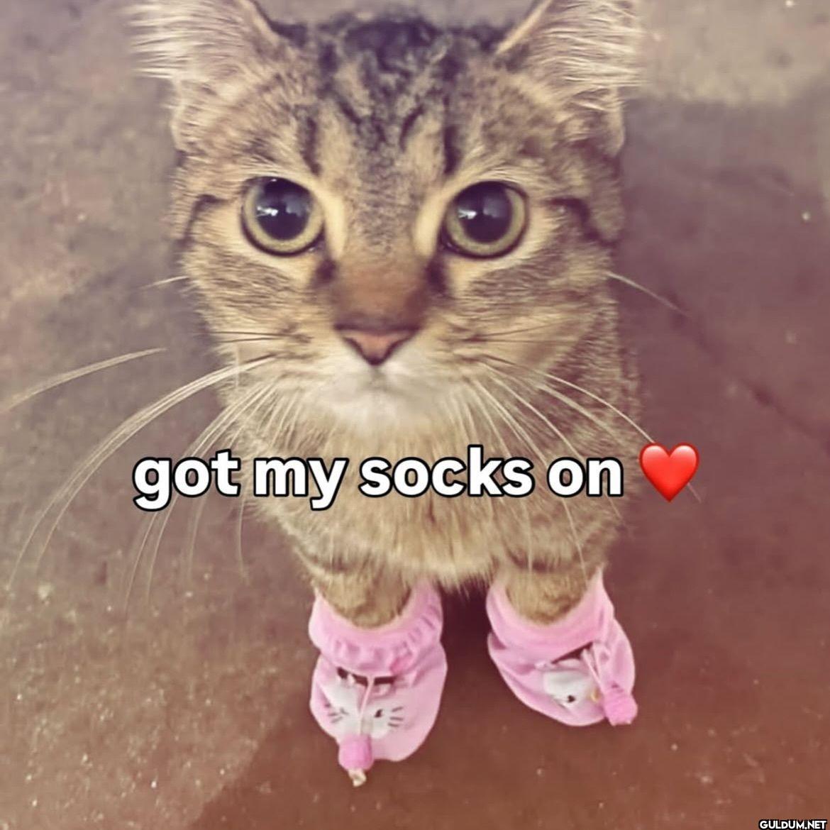 got my socks on